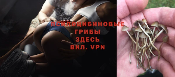 PSILOCYBIN Алексеевка