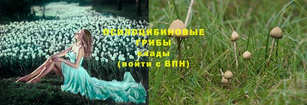 PSILOCYBIN Алексеевка