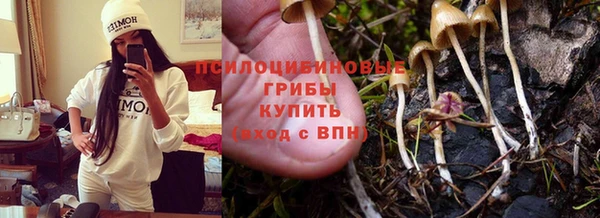 первитин Абинск