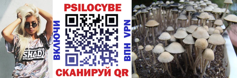 OMG онион  Брянск  Галлюциногенные грибы ЛСД 