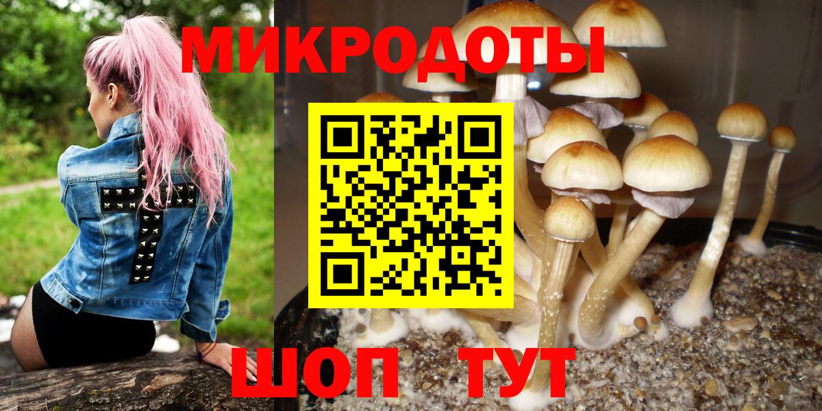 даркнет сайт  Вход с VPN  Брянск  Галлюциногенные грибы мухоморы  Галлюциногенные грибы Psilocybine cubensis 